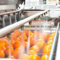 Fresh grape orange coconut Juice processing Production Line